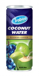 Coconut water Blueberry alu can 250ml